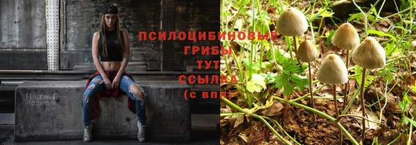 скорость Кодинск