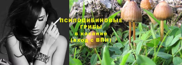 ECSTASY Козельск