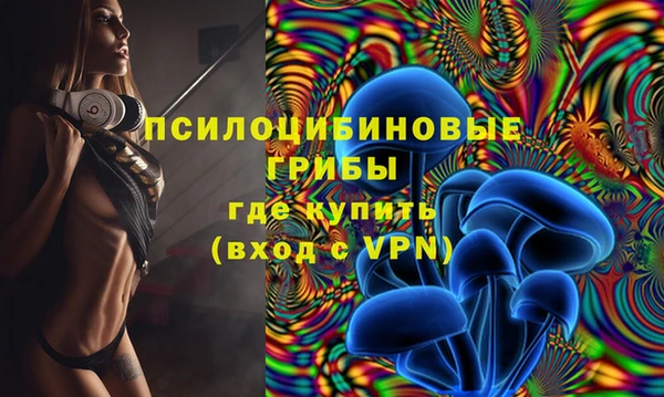 ECSTASY Козельск