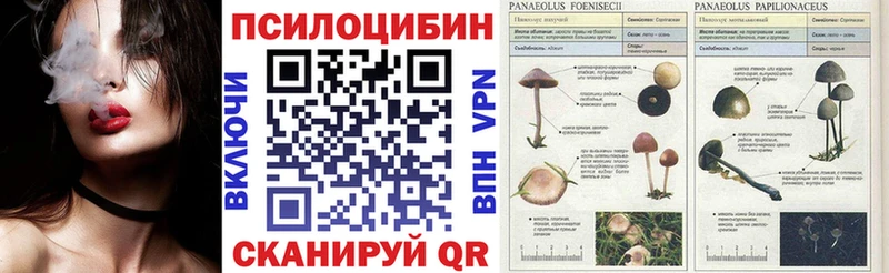 Псилоцибиновые грибы Magic Shrooms  Купить где  Соликамск 
